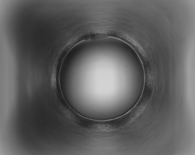 X0000102270681200807251350