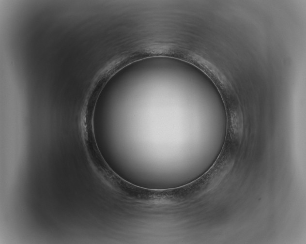 X0000102270682200807251350