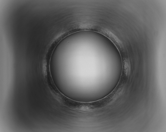 X0000102270684200807251350