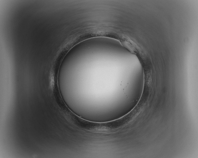 X0000102270685200807251350