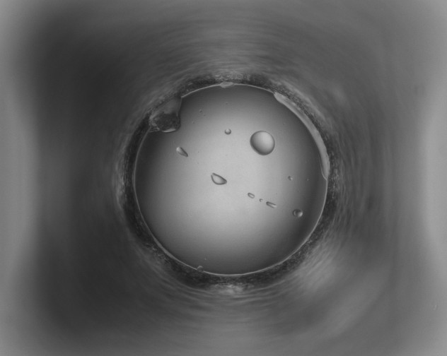 X0000102270687200807251350