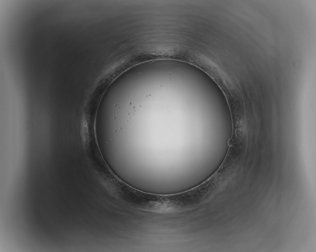 X0000102270688200807251350