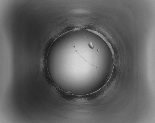 X0000102270689200807251350
