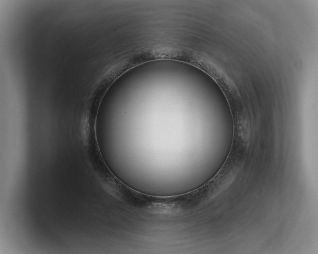 X0000102270690200807251350