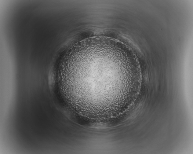 X0000102270691200807251350