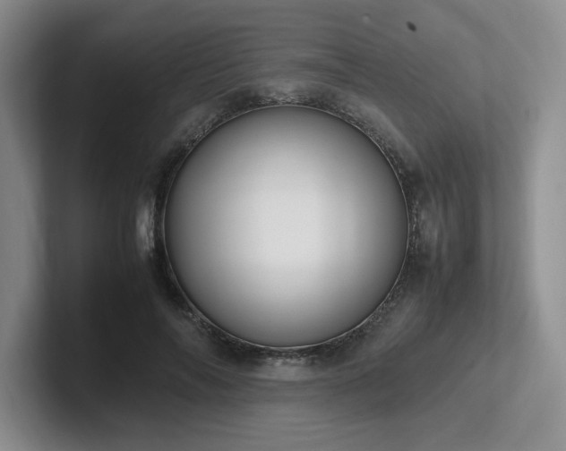 X0000102270694200807251349