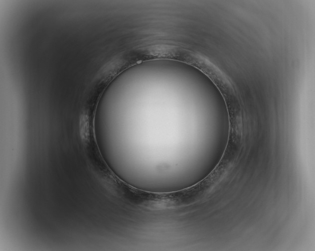 X0000102270696200807251349