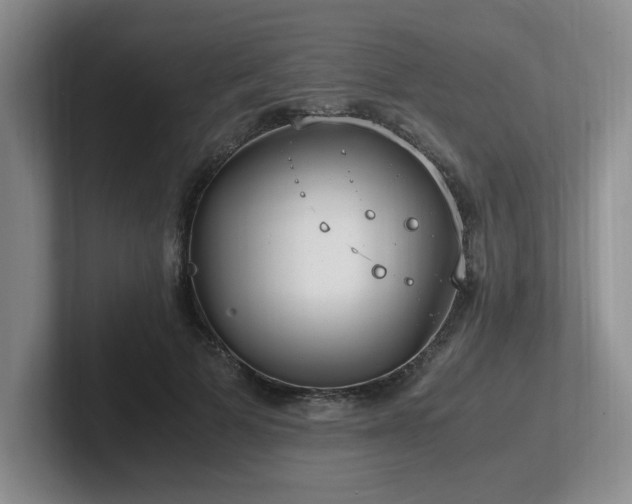 X0000102270697200807251349