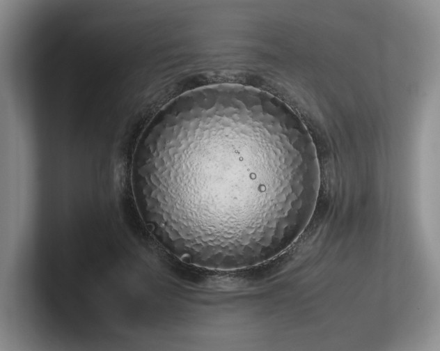 X0000102270699200807251349