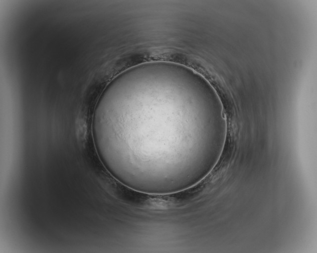 X0000102270703200807251349
