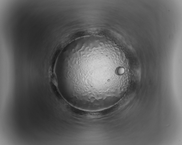 X0000102270707200807251349