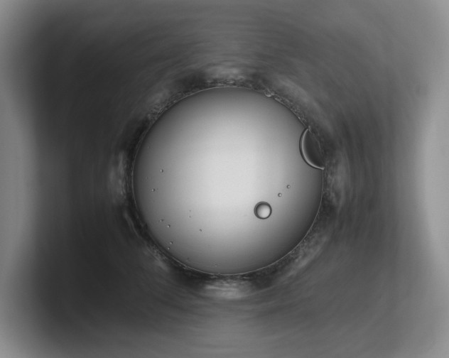X0000102270708200807251349