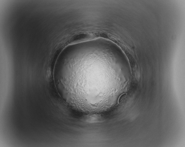 X0000102270711200807251349