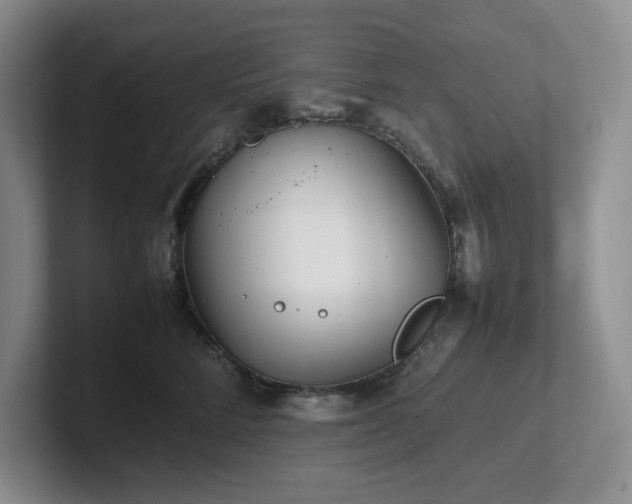 X0000102270712200807251349