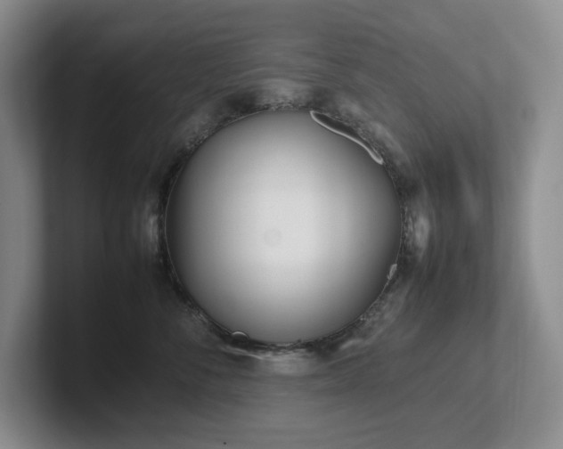 X0000102270716200807251349