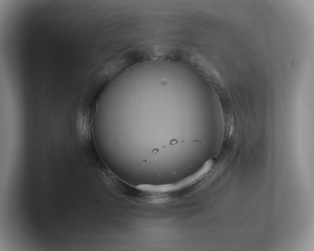 X0000102270719200807251349