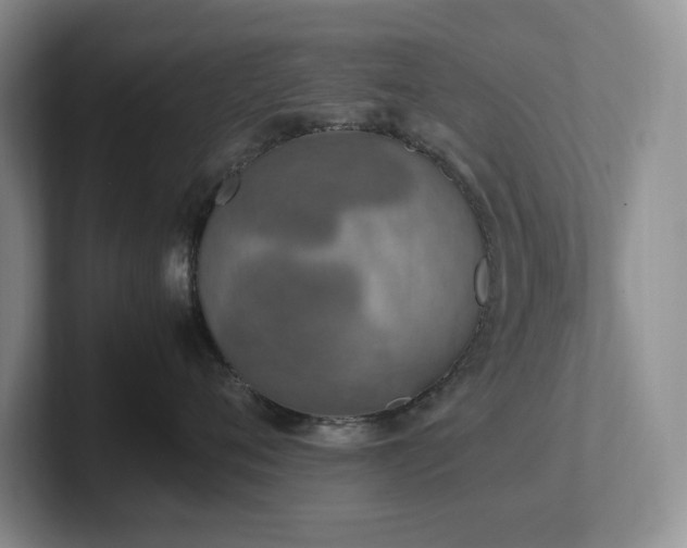 X0000102270720200807251349