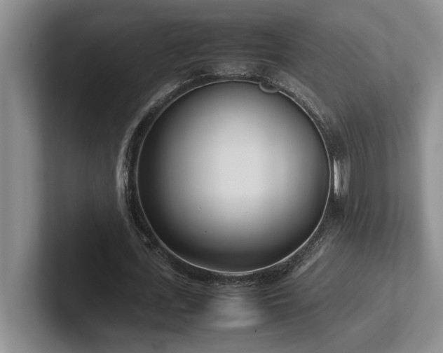 X0000102270723200807251349