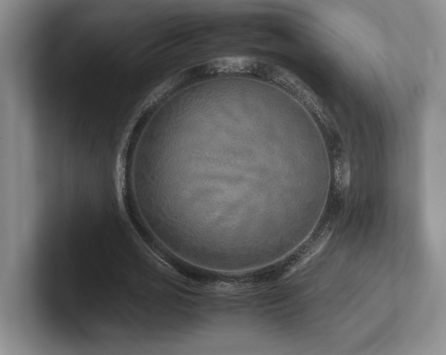 X0000102270725200807251349