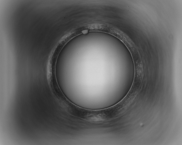 X0000102270727200807251349