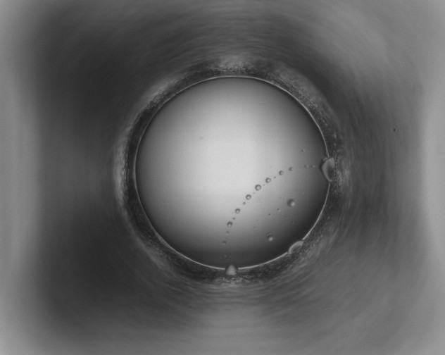 X0000102270728200807251349