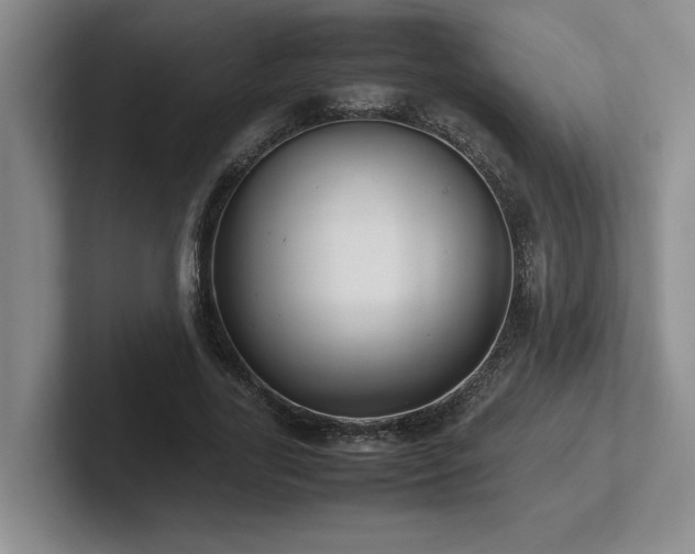 X0000102270731200807251349