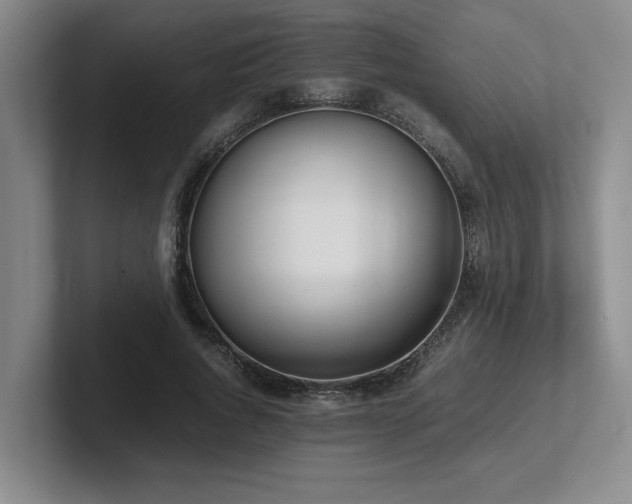 X0000102270736200807251349