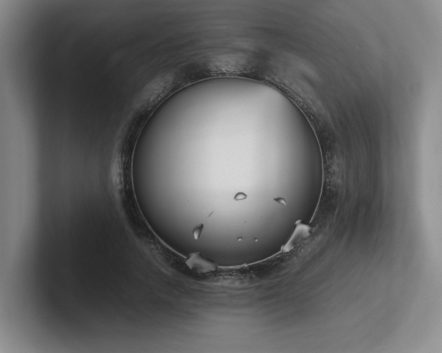 X0000102270738200807251349