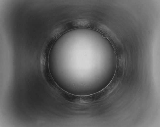 X0000102270739200807251349