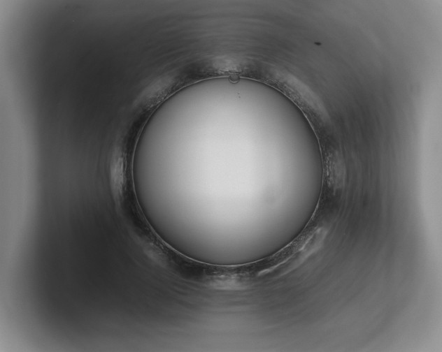 X0000102270740200807251349