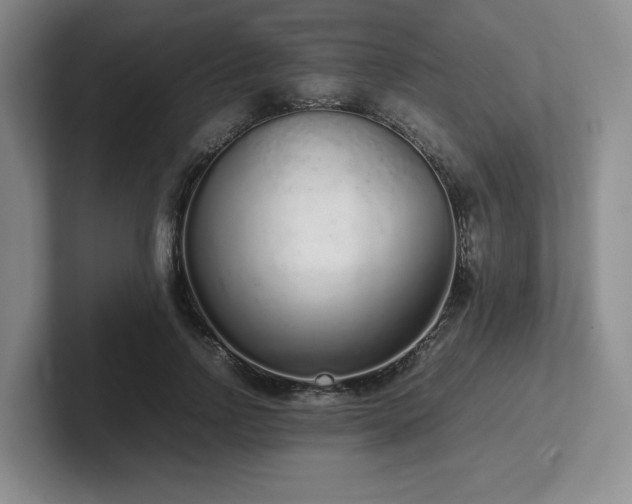 X0000102270742200807251349