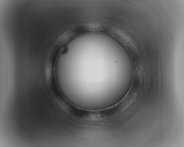 X0000102270744200807251349