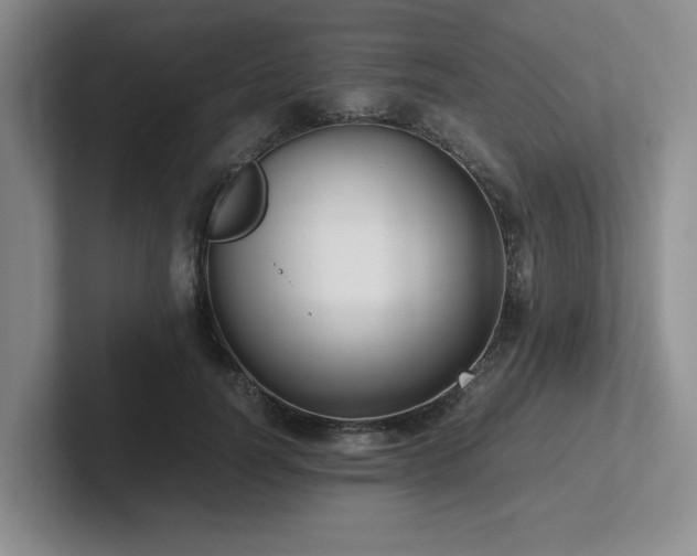 X0000102270746200807251349