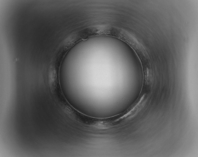 X0000102270748200807251349