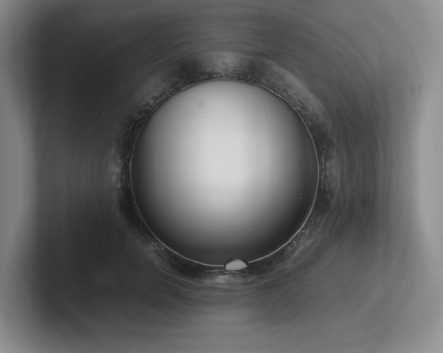 X0000102270750200807251349