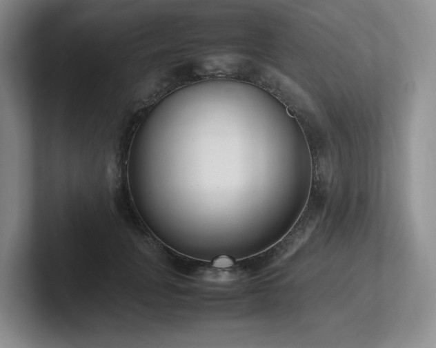X0000102270751200807251349