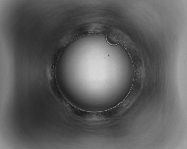 X0000102270755200807251349