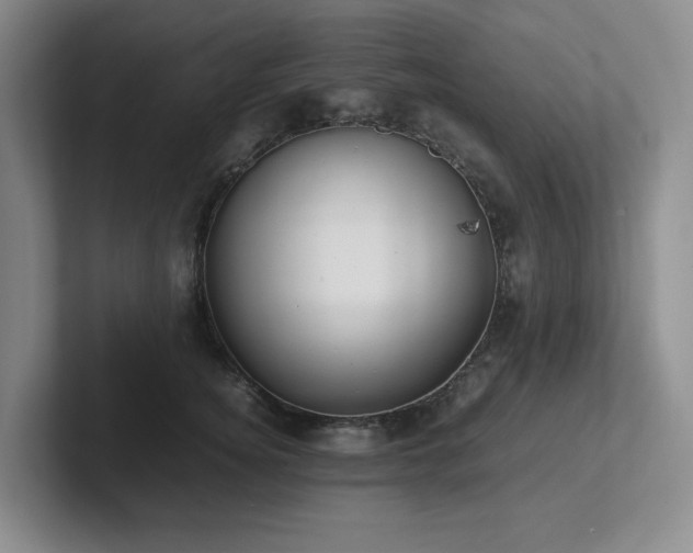 X0000102270756200807251349