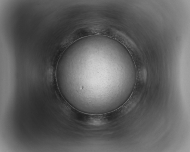 X0000102270757200807251349