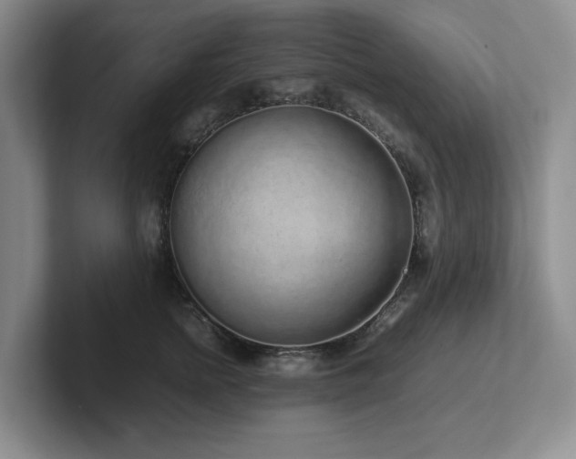 X0000102270758200807251349