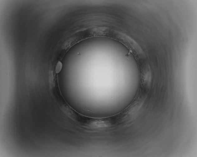 X0000102270759200807251349