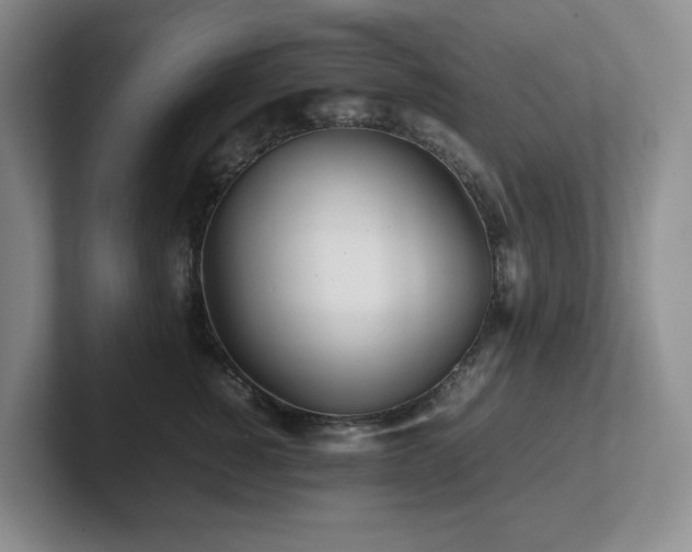 X0000102270760200807251349