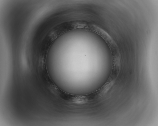 X0000102270761200807251349
