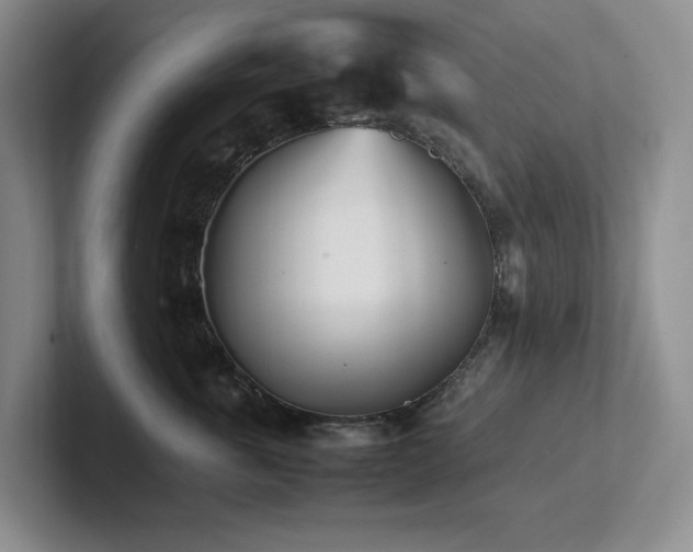 X0000102270763200807251349
