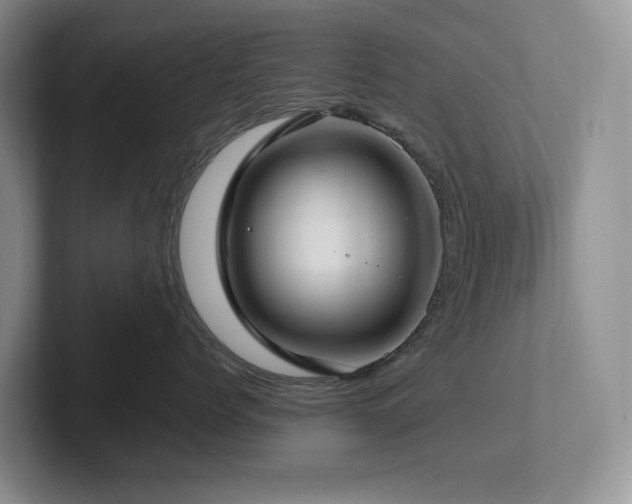 X0000102270768200807251349
