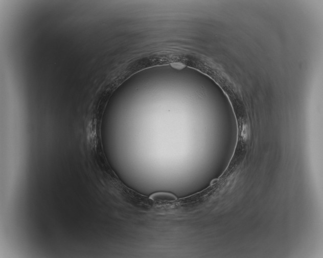 X0000102270771200807251348