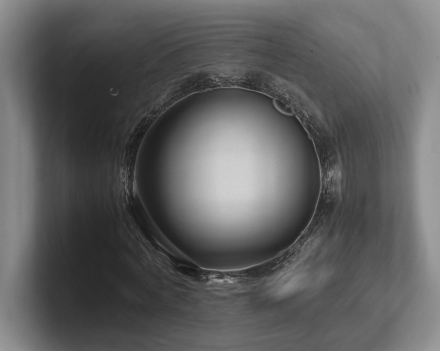 X0000102270772200807251348