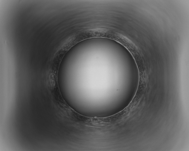 X0000102270774200807251348