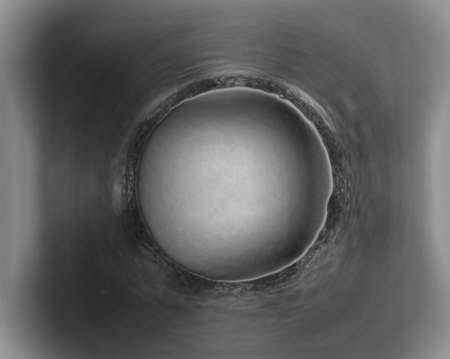 X0000102270775200807251348