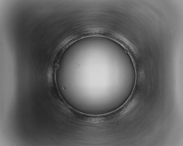X0000102270778200807251348